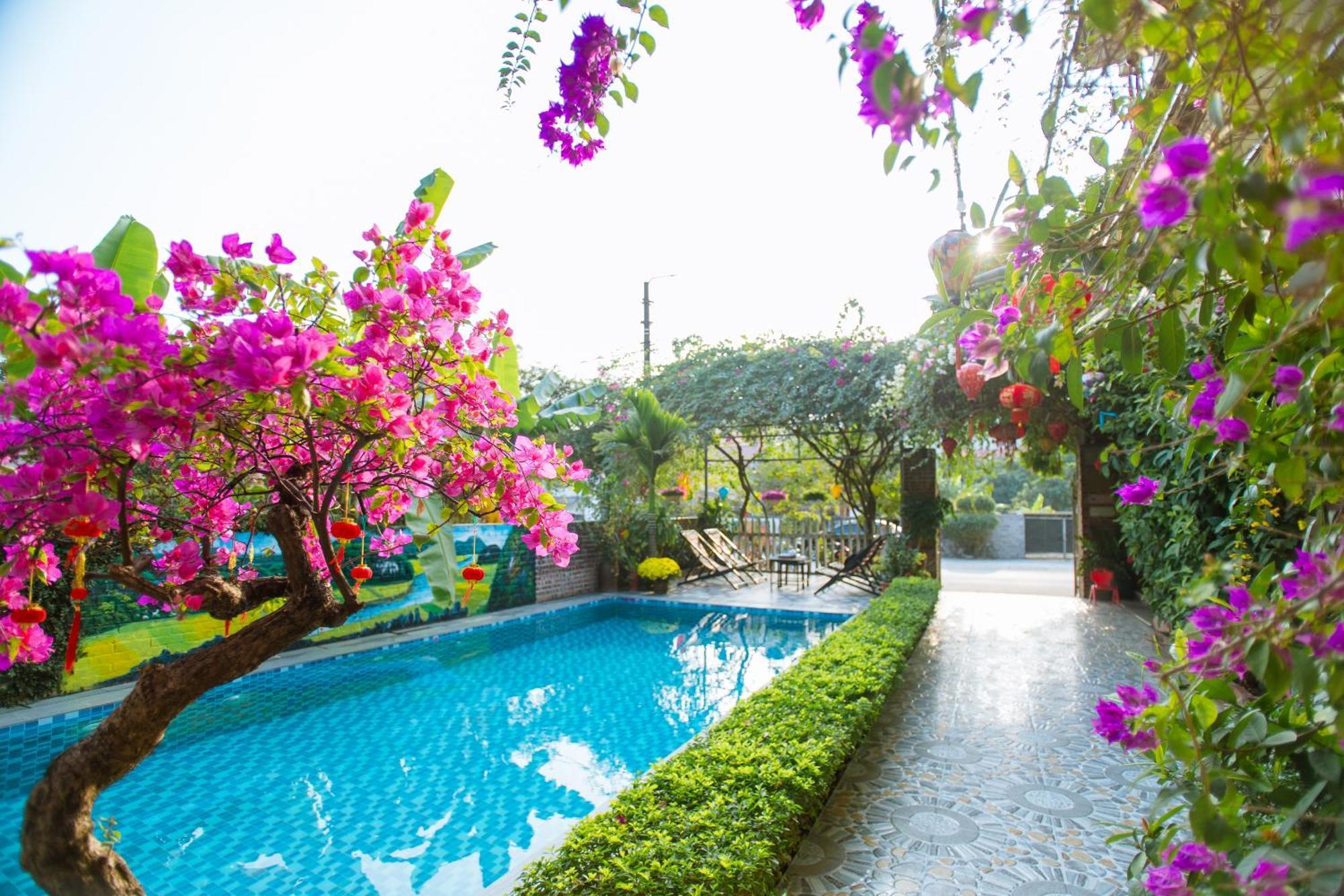 Tam Coc Viet Ha Homestay Нин Бин Екстериор снимка
