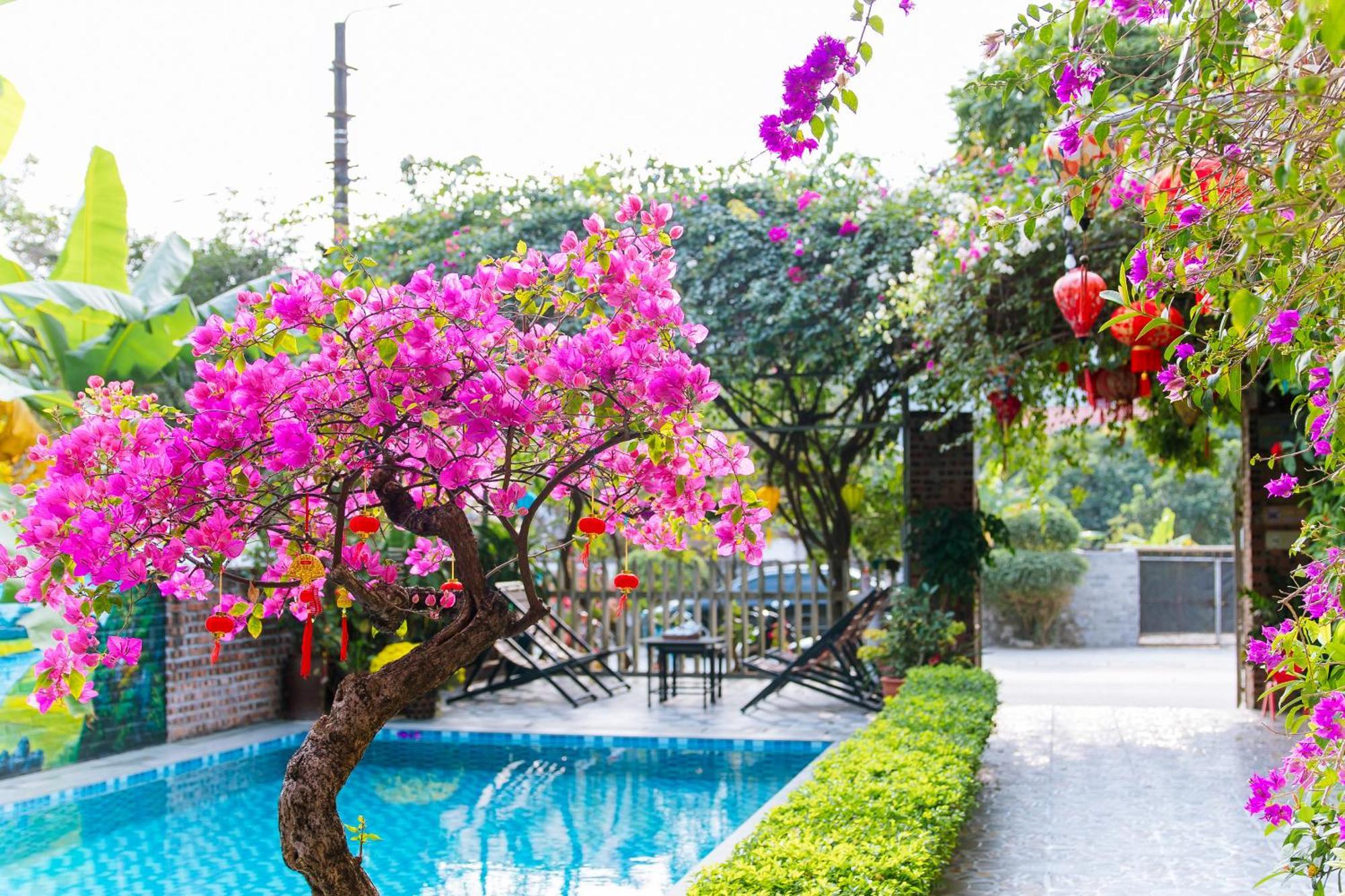 Tam Coc Viet Ha Homestay Нин Бин Екстериор снимка